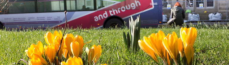 Flowers by the Oxford Road bus corridor